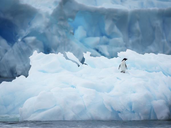 Luxury Chile & Antarctic cruise holiday