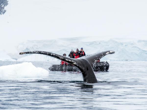 Patagonia and Antarctica holiday