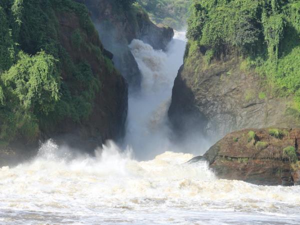 Uganda wildlife highlights holiday