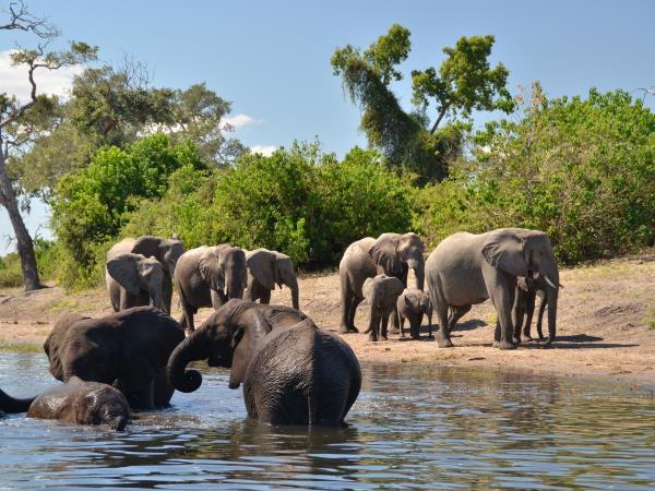 Botswana and Zimbabwe safari holiday