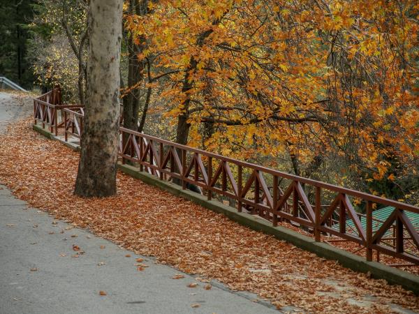 Cyprus food and foraging winter holiday
