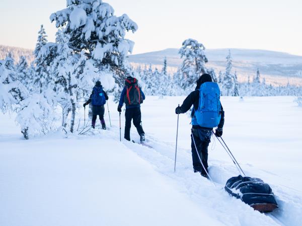 Winter ski touring in Sweden holiday