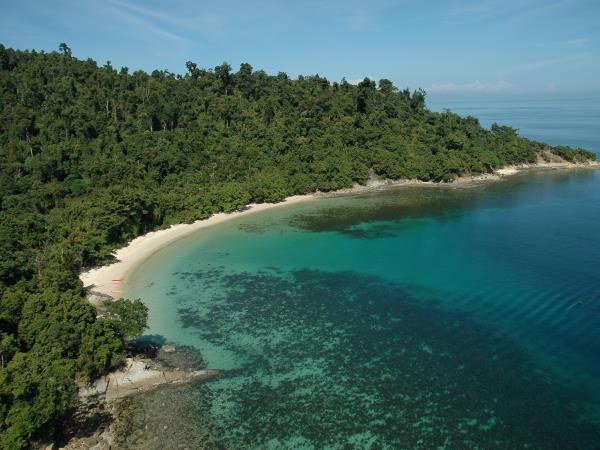 Borneo wildlife highlights honeymoon