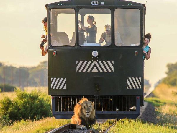 South Africa and Zimbabwe holiday, tailor made