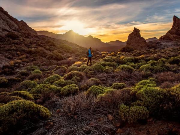 Tenerife and La Gomera walking holiday, Spain