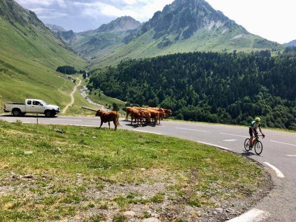 Tour de France cycling holiday