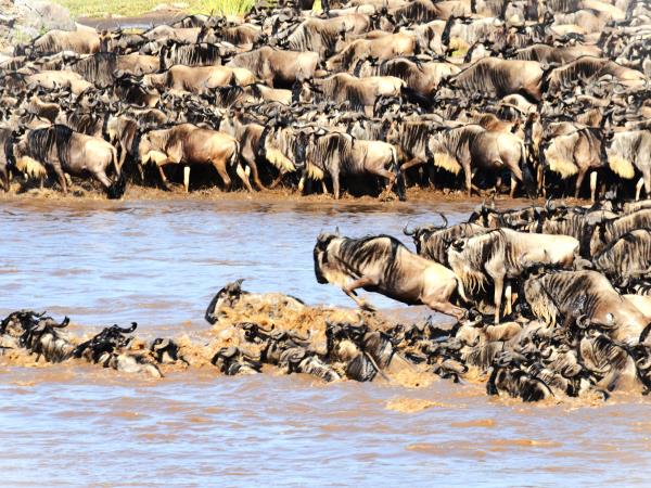 Great migration photography holiday, Tanzania