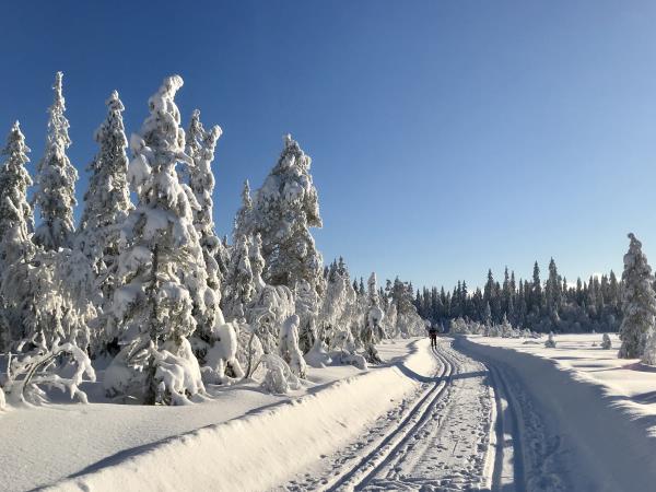 Cross country skiing holiday in Norway