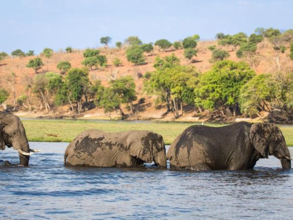 Botswana adventure safari