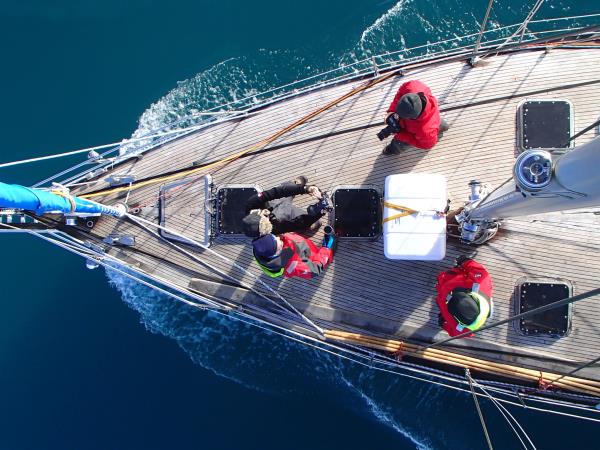 Arctic sailing safari