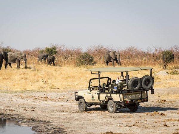 Botswana and Seychelles holiday, safari to beach