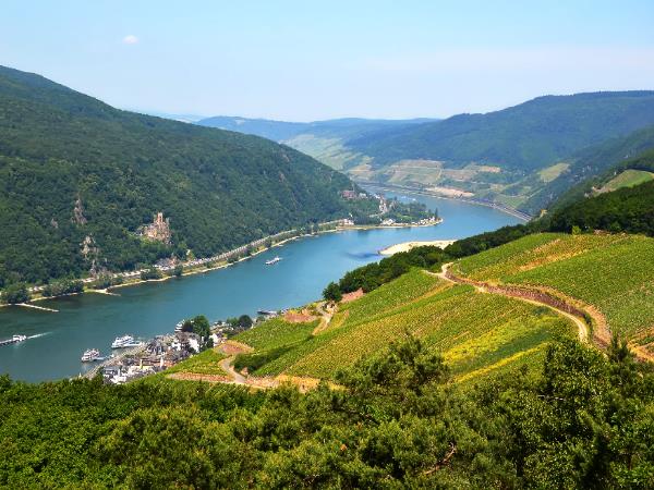 The Rhine walking holiday in Germany