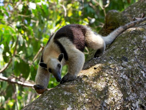 Costa Rica national parks tour