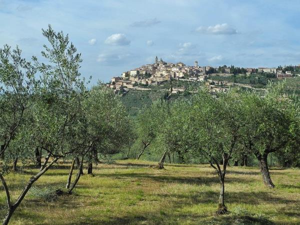 Umbria small group walking holiday