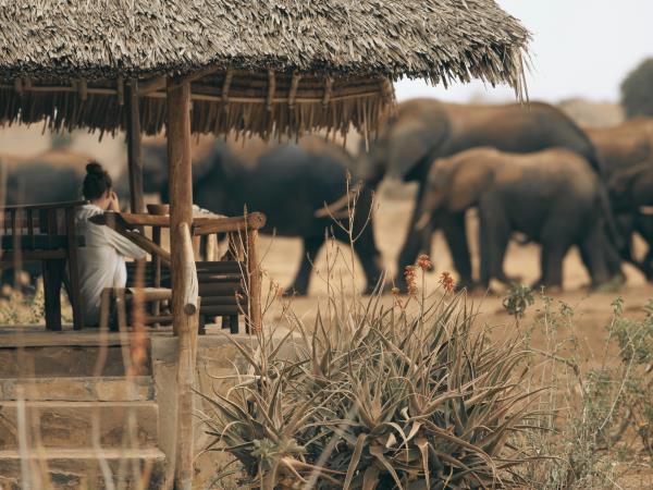Kenya safari and Diani beach holiday