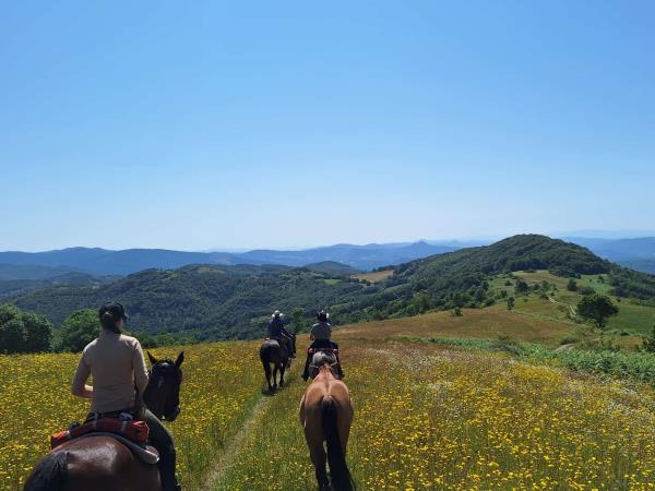 Serbia horse riding holiday, Taor Trail