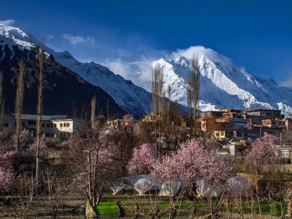 Pakistan in spring tour, blossoms and heritage 
