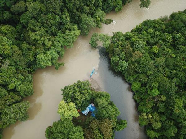 Wild Borneo holiday, private departure