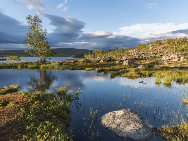 Luxury Lapland wilderness holiday