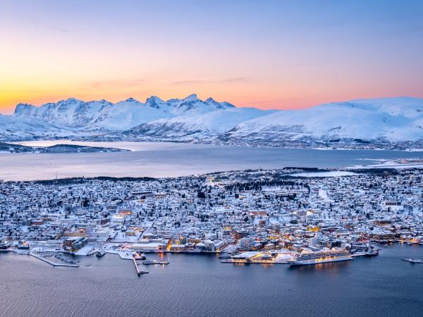 Arctic Adventure holiday, Whales, Huskies and Sami Culture
