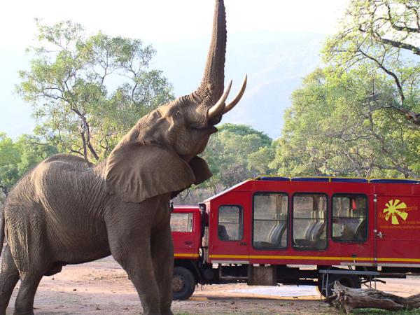 Zambia and Malawi Livingstone Trail holiday