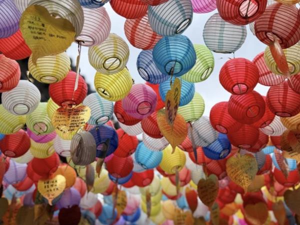 South Korea family tour, 9 days