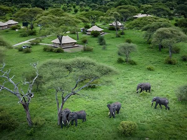 Serengeti migration safari in Tanzania