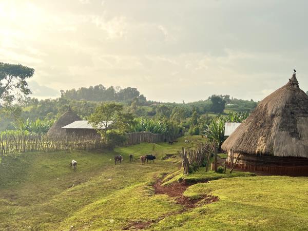 Gurage homestay and trekking holiday, Ethiopia