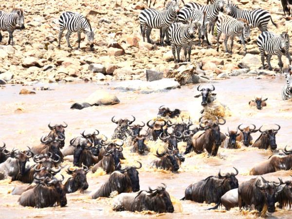 Tanzania Great Migration and Serengeti Safari holiday