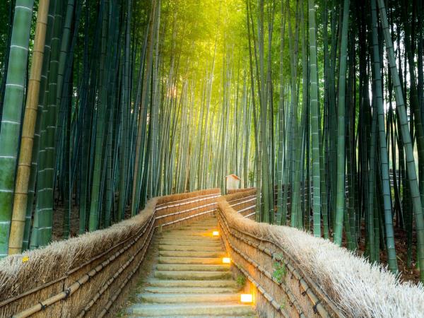 Japan hot springs honeymoon