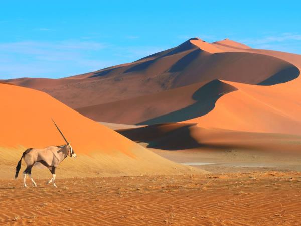 Southern Africa overland adventure, Cape Town to Vic Falls