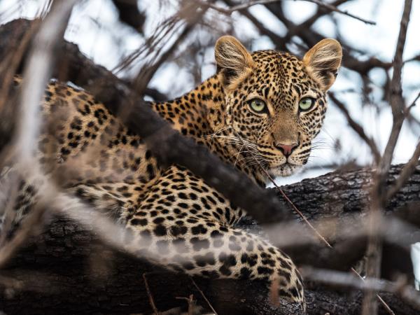 Ruaha small group tour in Tanzania