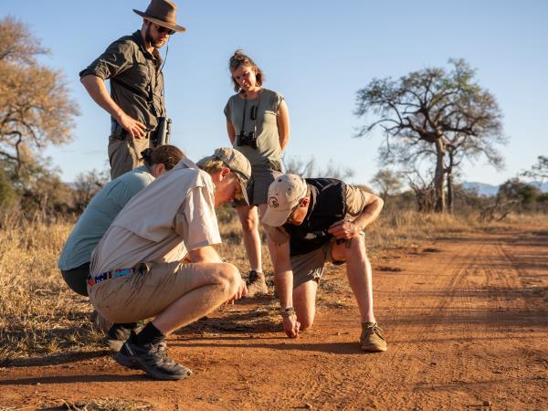 Wilderness Training Course in Botswana