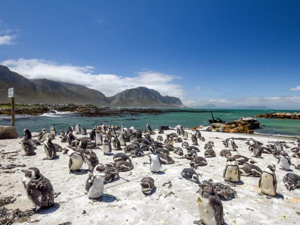 The Garden Route budget tour, 5 days