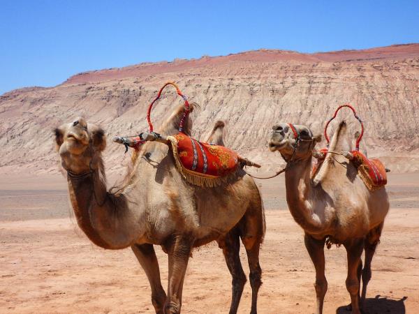 China Silk Road holiday, Xi’an to Kashgar