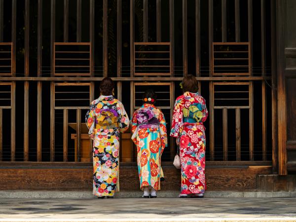 Japan classic tour by rail