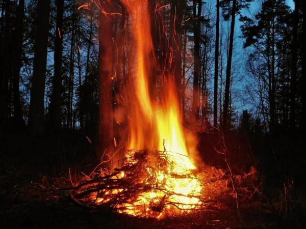 Estonia survival camp holiday