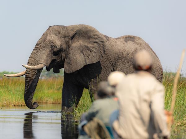 Botswana off beaten track holiday