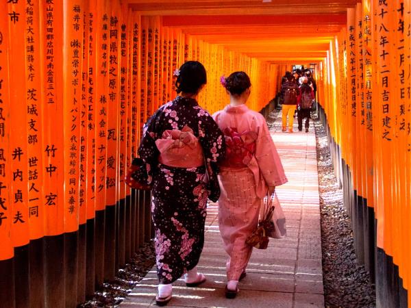 Japan cultural highlights holiday, Tokyo to Osaka