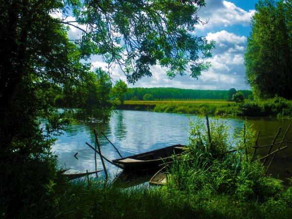 Loire Valley walking holiday, chateaux & vineyards