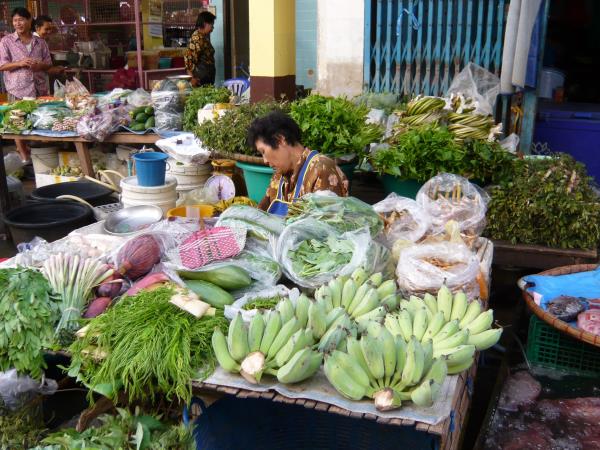 Cultural immersion holiday in Thailand