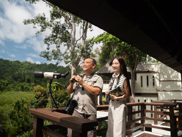 Borneo ultimate bird watching holiday