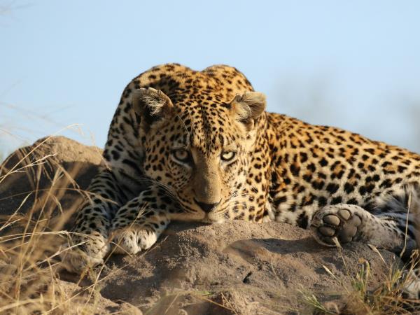 Kwa Zulu Natal self drive South Africa holiday