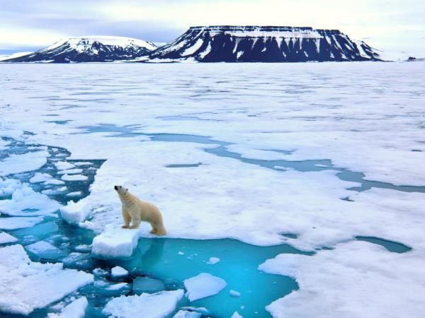 Svalbard, Greenland & Iceland Arctic cruise
