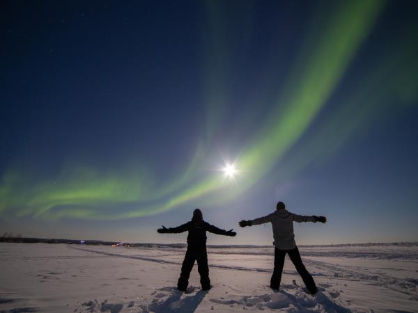 Northern Lights and wildlife holiday in Swedish Lapland