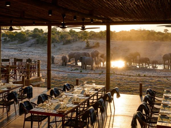 Botswana safari and Mozambique beach break
