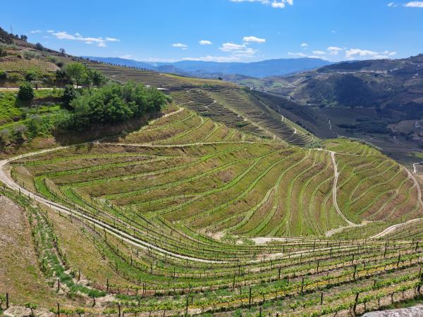 Portugal N2 guided cycling tour