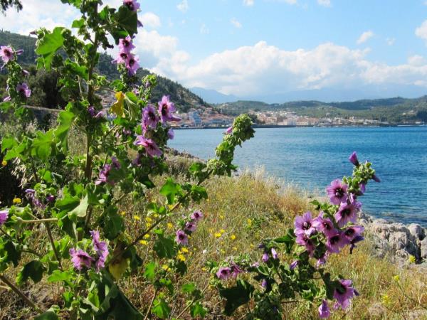 Springtime in the Peloponnese walking holiday