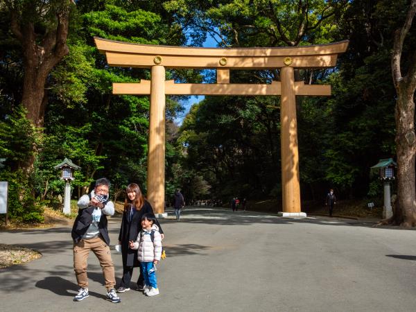 Family holiday to Japan, tailor made