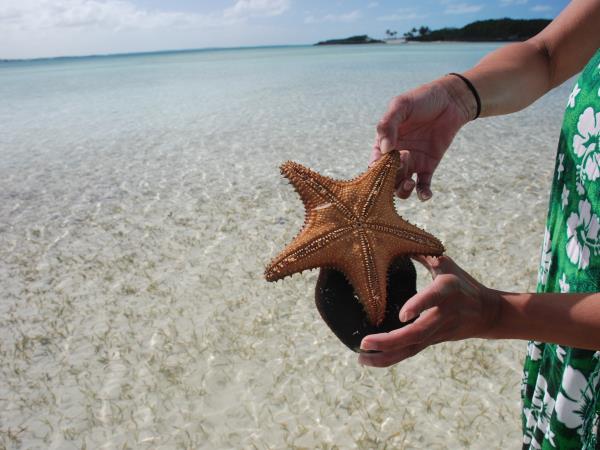 Abacos sailing vacation in the Bahamas